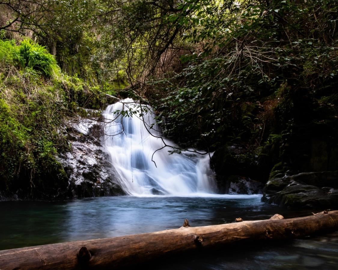 Refugio D'Aldeia Da Serra Seia Esterno foto