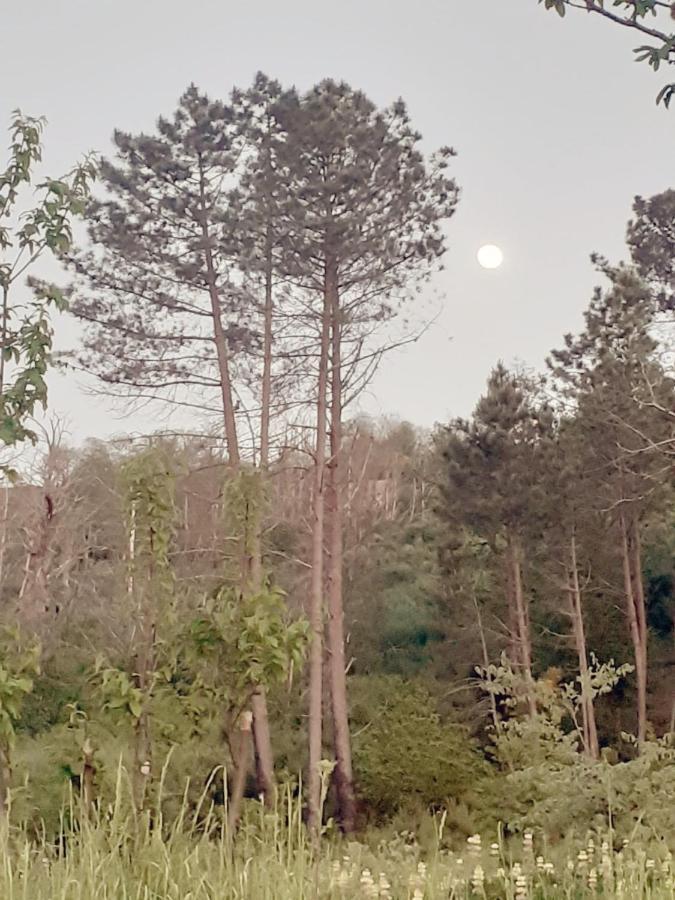 Refugio D'Aldeia Da Serra Seia Esterno foto